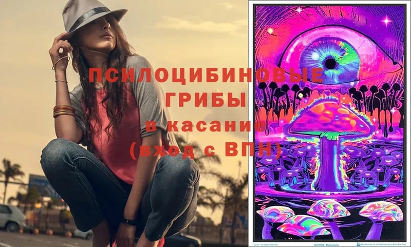 Псилоцибиновые грибы Magic Shrooms  цены   Плавск 